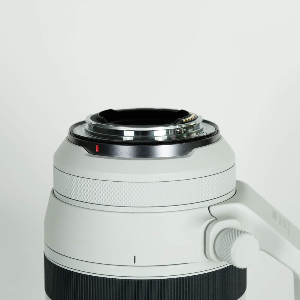 Canon RF100-500mm F4.5-7.1L IS USM