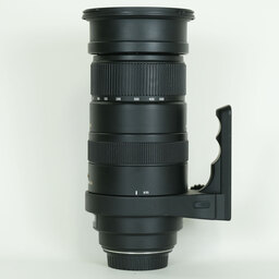 SIGMA APO 50-500mm F4.5-6.3 DG OS HSM (キヤノンEF用)