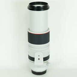 Canon RF100-500mm F4.5-7.1L IS USM
