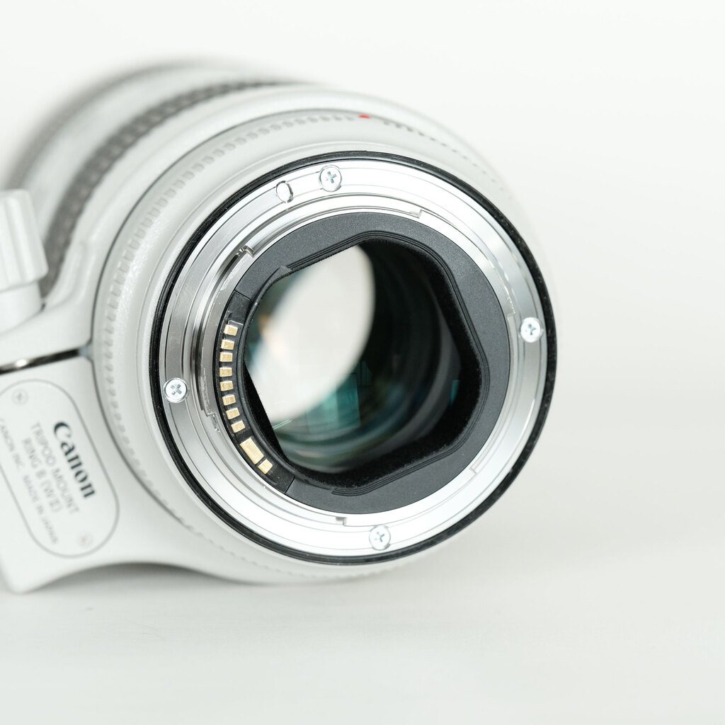 Canon EF70-200mm F2.8L IS III USM
