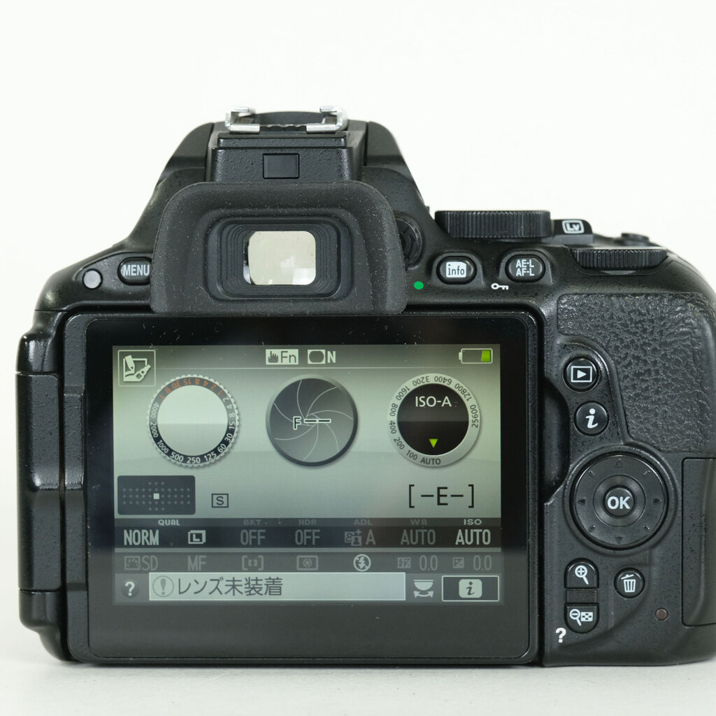 Nikon D5500