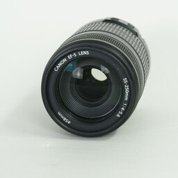 Canon EF-S55-250mm F4-5.6 IS