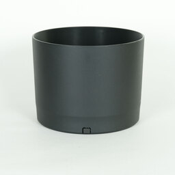 Canon RF200-800mm F6.3-9 IS USM