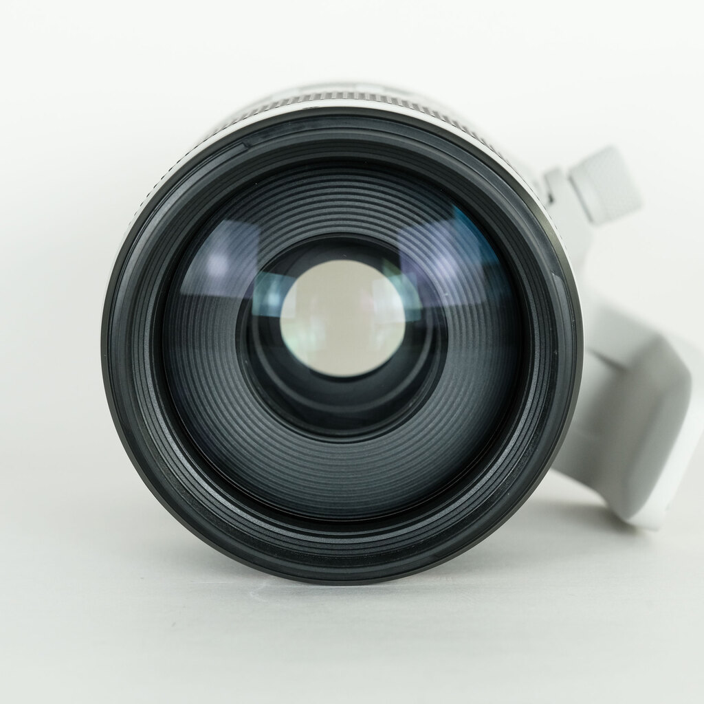 Canon RF70-200mm F2.8 L IS USM