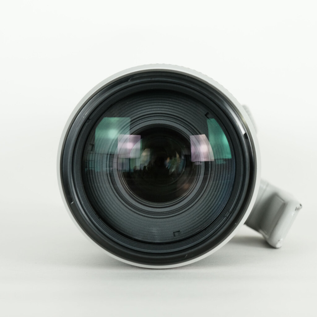 Canon EF100-400mm F4.5-5.6L IS II USM