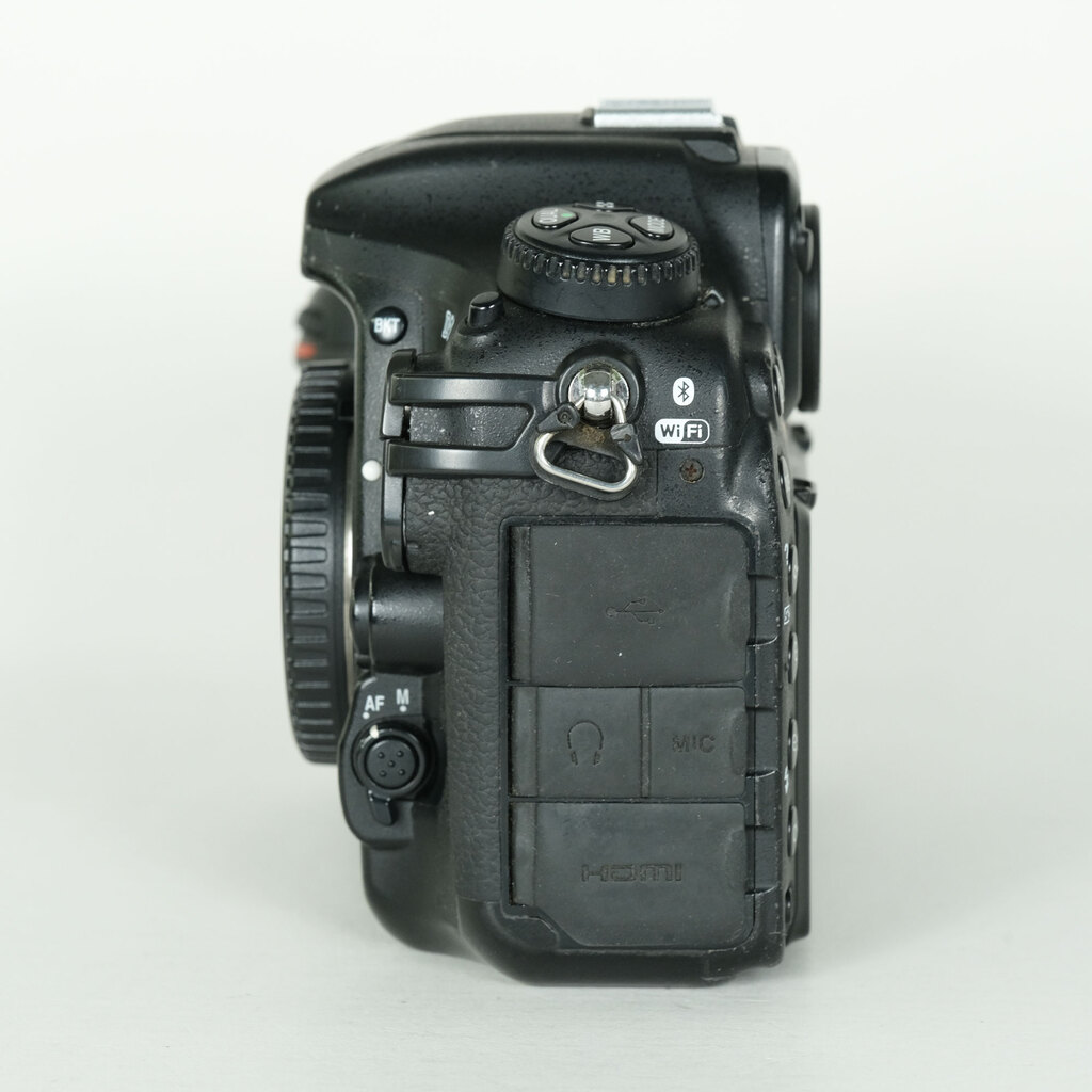 Nikon D500 [�{�f�B]