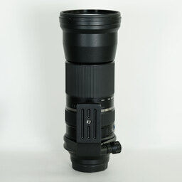 TAMRON SP 150-600mm F5-6.3 Di VC USD/Model A011E（キヤノンEF用）