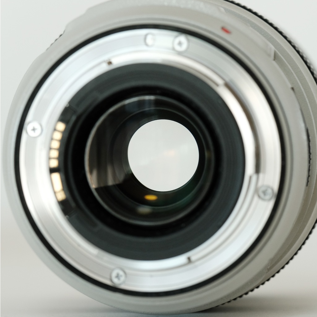 Canon EF70-300mm F4-5.6L IS USM