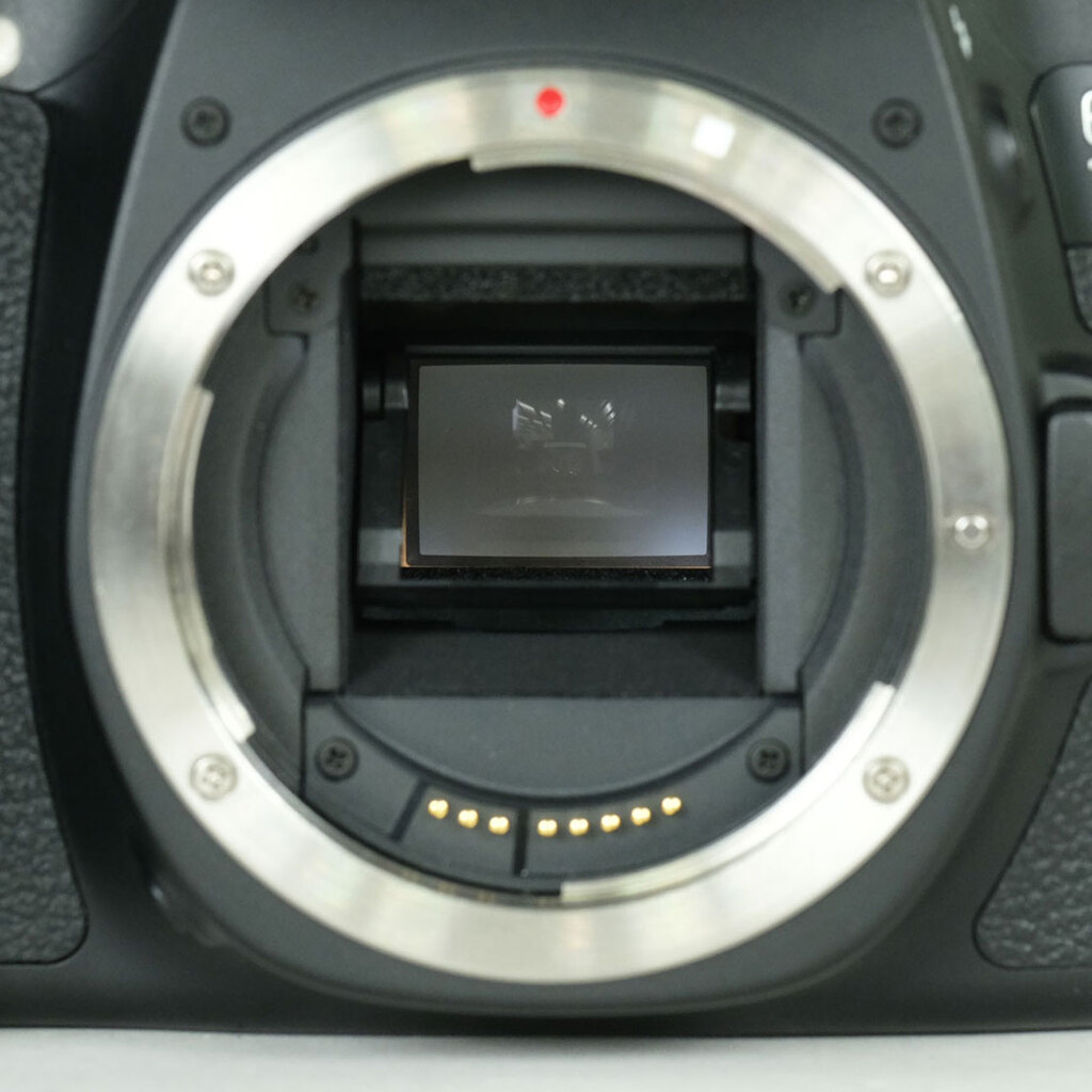 Canon EOS 70Dの出品 | ONE SCENE（ワンシーン）