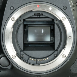 Canon EOS 7D Mark II