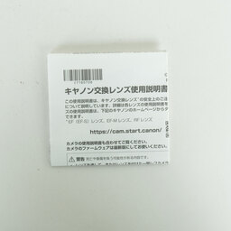 Canon RF24-105mm F4 L IS USM
