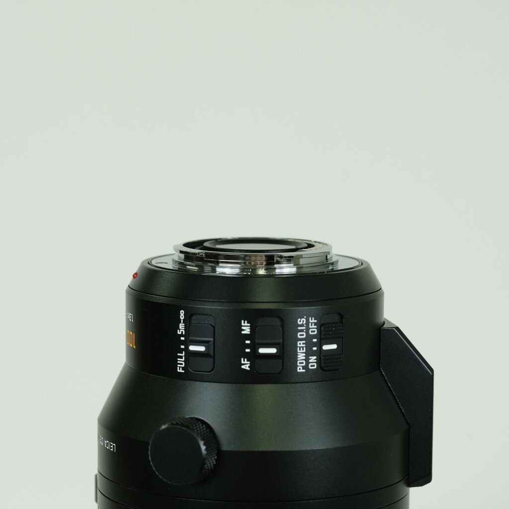 Panasonic LEICA DG VARIO-ELMAR 100-400mm / F4.0-6.3 II ASPH. / POWER O.I.S.