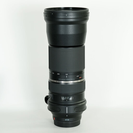 TAMRON SP 150-600mm F5-6.3 Di VC USD/Model A011E（キヤノンEF用）