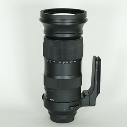 SIGMA 60-600mm F4.5-6.3 DG OS HSM | Sports [キヤノン用]