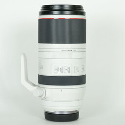 Canon RF100-500mm F4.5-7.1L IS USM