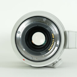 Canon EF100-400mm F4.5-5.6L IS II USM