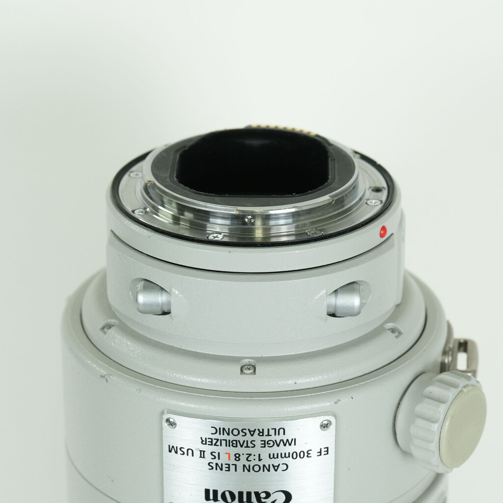 Canon EF300mm F2.8L IS II USM