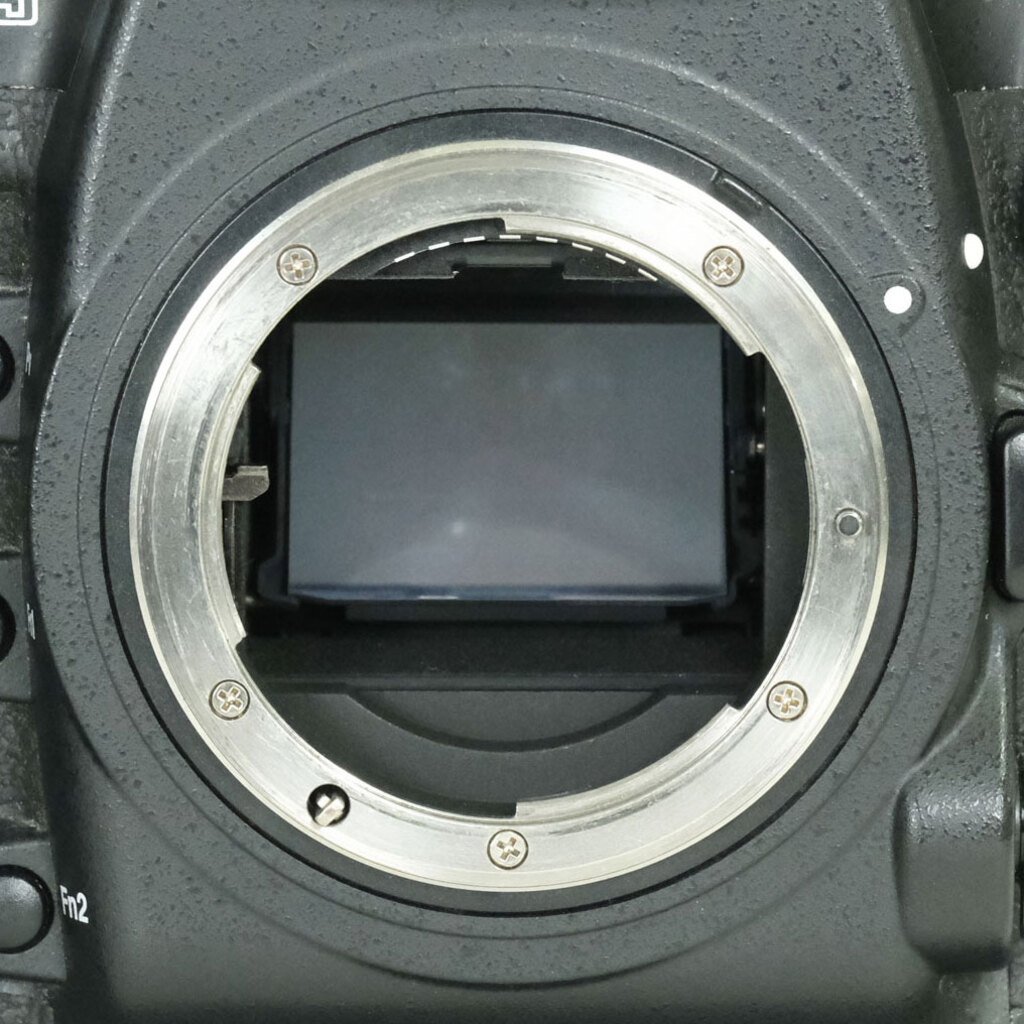 Nikon D5 ボディ（CF-Type）