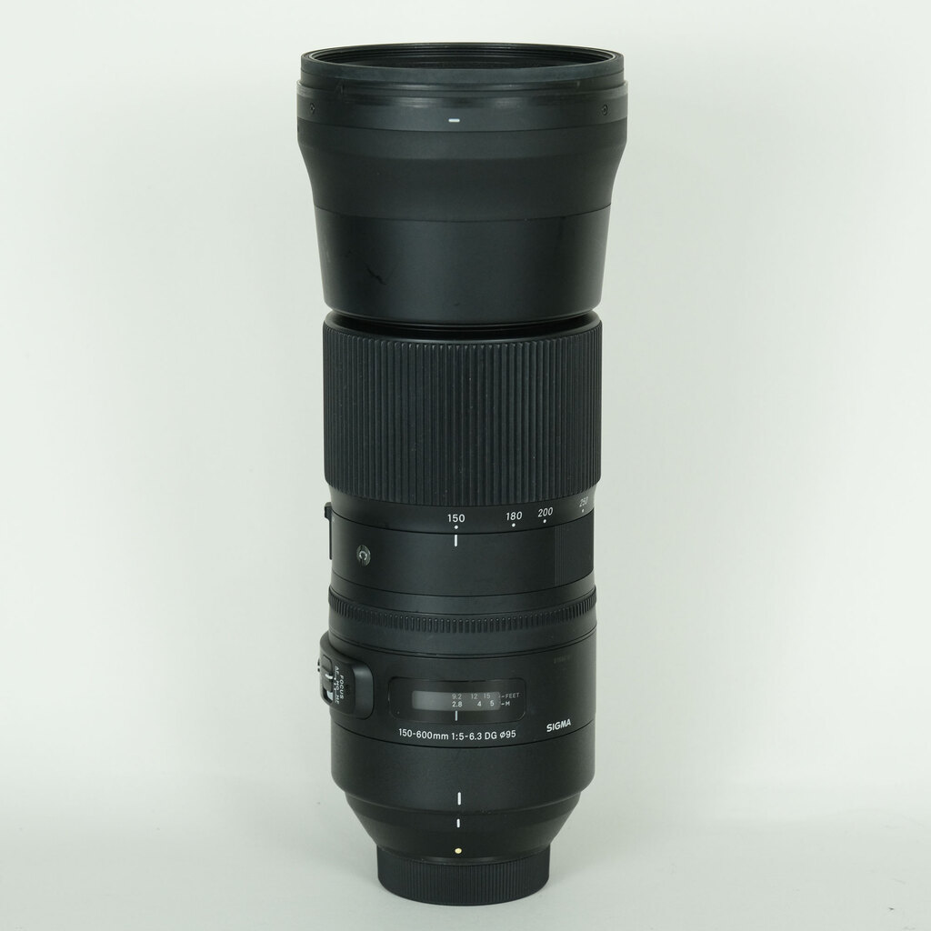 SIGMA 150-600mm F5-6.3 DG OS HSM｜Contemporary [ニコンF用]