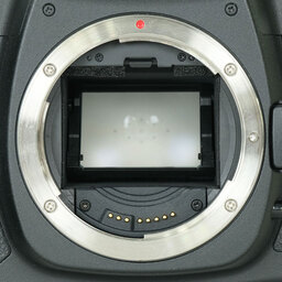 Canon EOS 5D MarkII ボディ