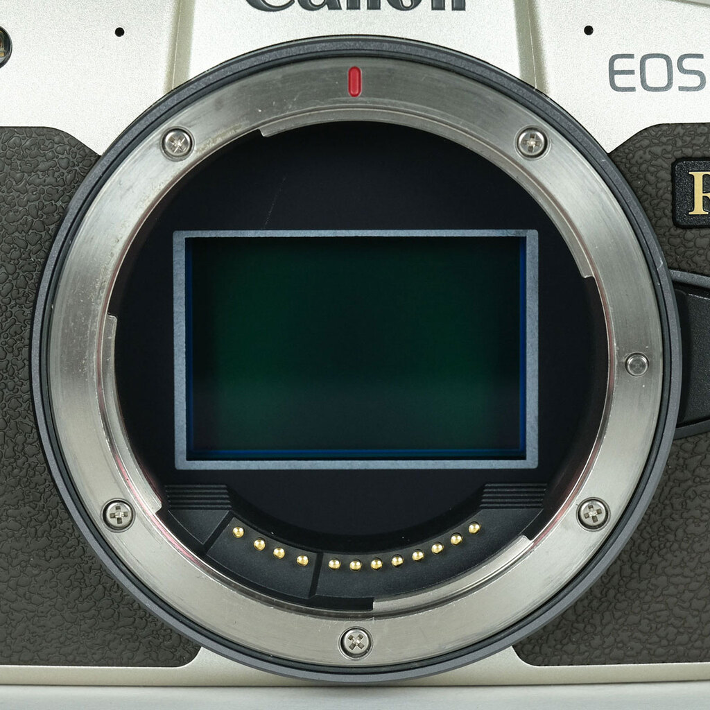 Canon EOS RP ボディ ゴールドの出品 | ONE SCENE（ワンシーン）