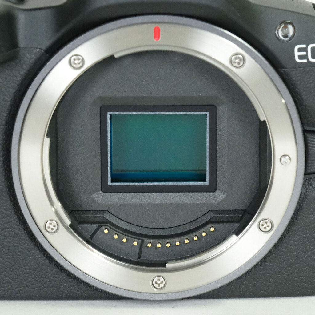 Canon EOS R50