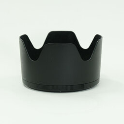 Nikon NIKKOR Z 70-200mm f/2.8 VR S