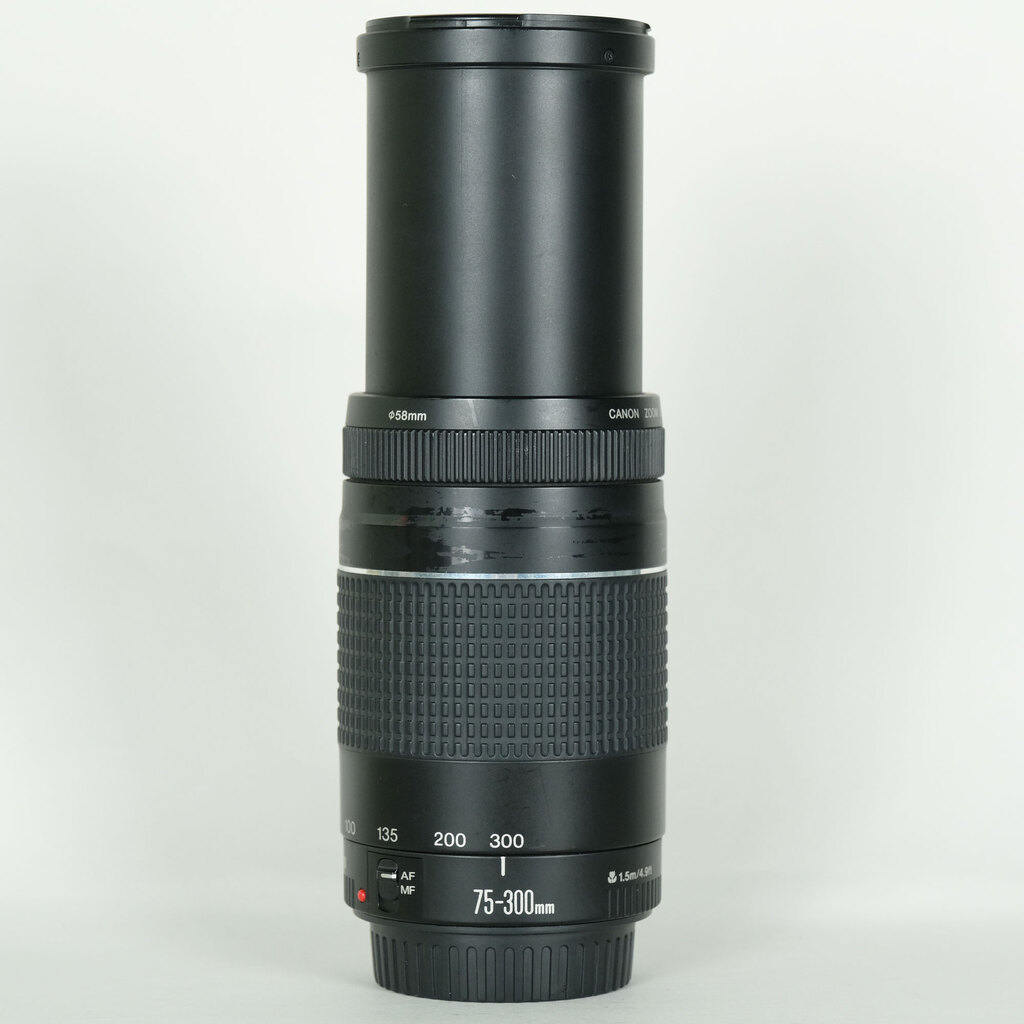 Canon EF75-300mm F4-5.6 IIIの出品 | ONE SCENE（ワンシーン）