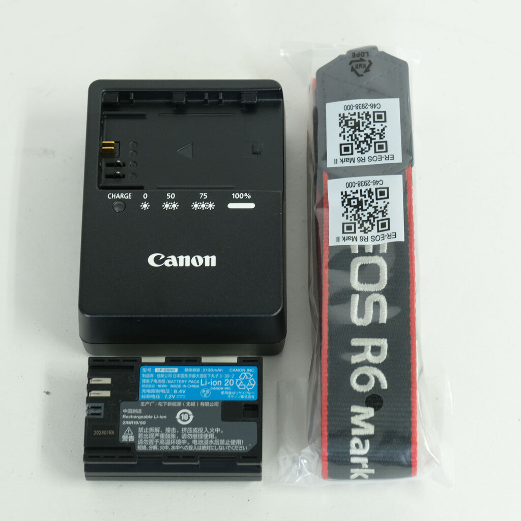 Canon EOS R6 Mark II