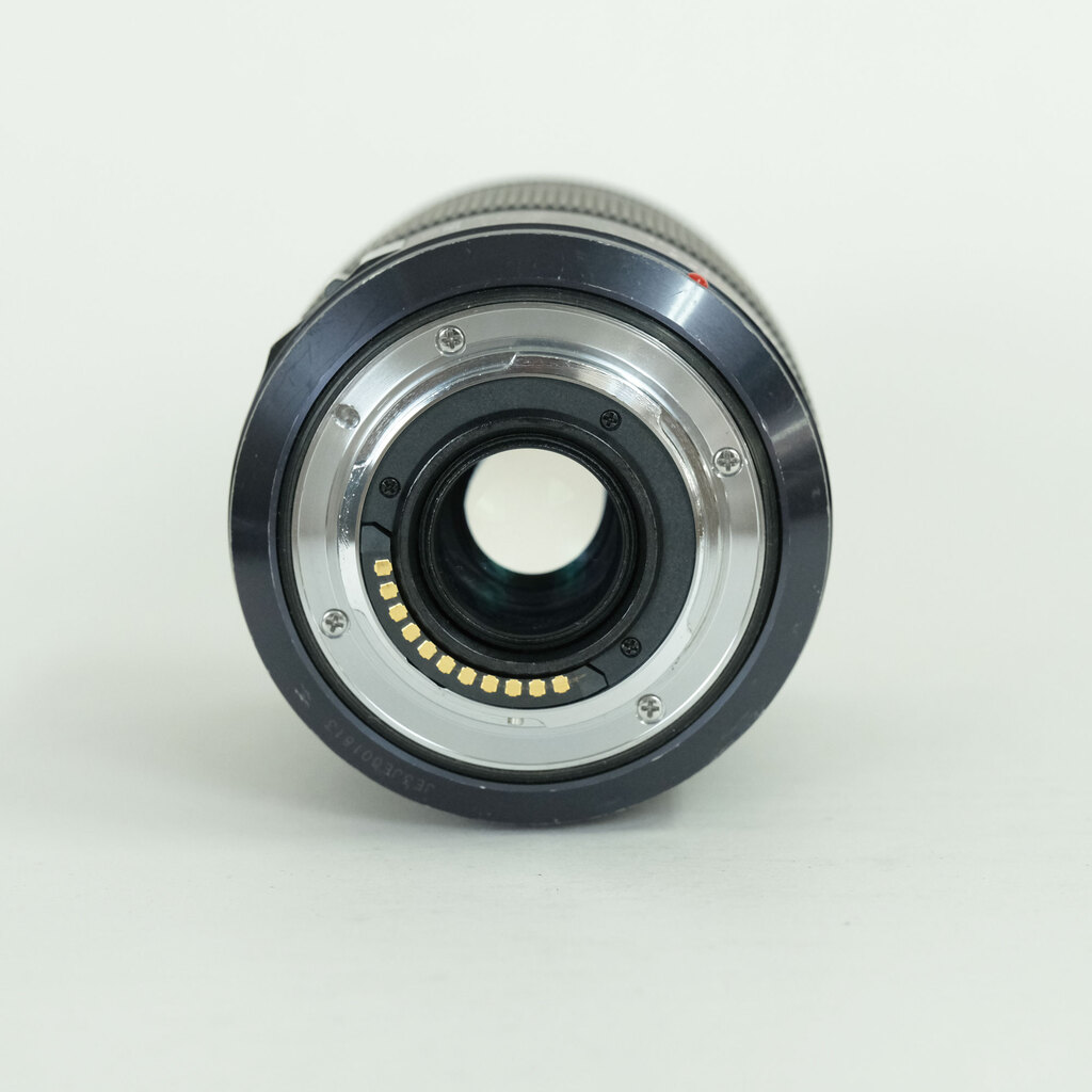 Panasonic LUMIX G X VARIO 35-100mm F2.8 POWER O.I.S. H-HS35100