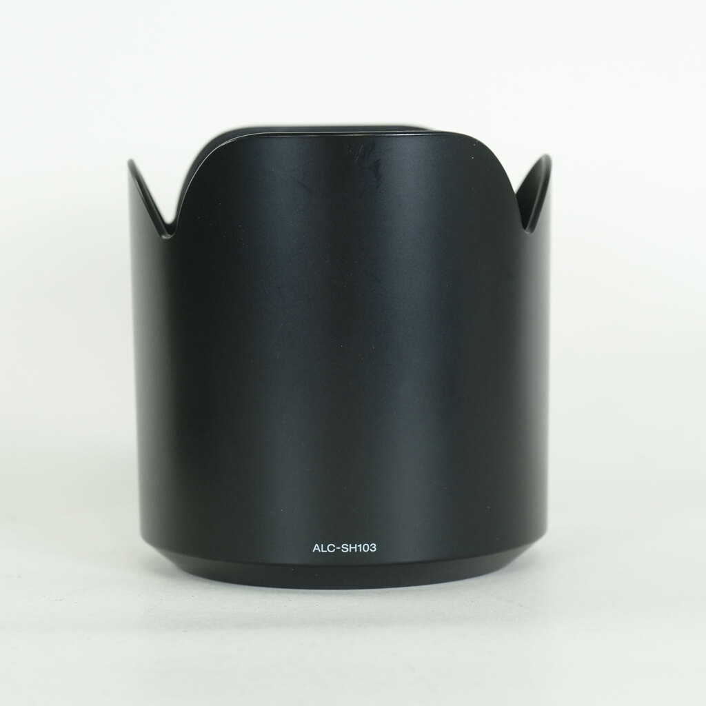 SONY 70-300mm F4.5-5.6 G SSM SAL70300G