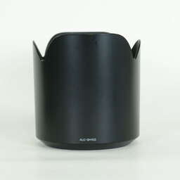 SONY 70-300mm F4.5-5.6 G SSM SAL70300G