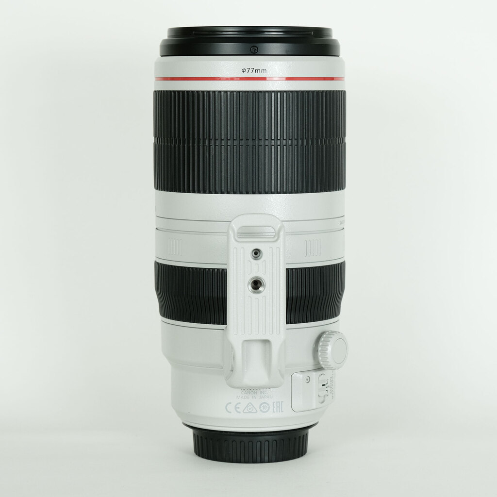 Canon EF100-400mm F4.5-5.6L IS II USM