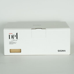 SIGMA DP1 Merrill