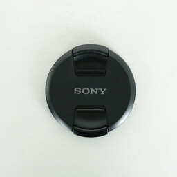 SONY FE 24-105mm F4 G OSS SEL24105G