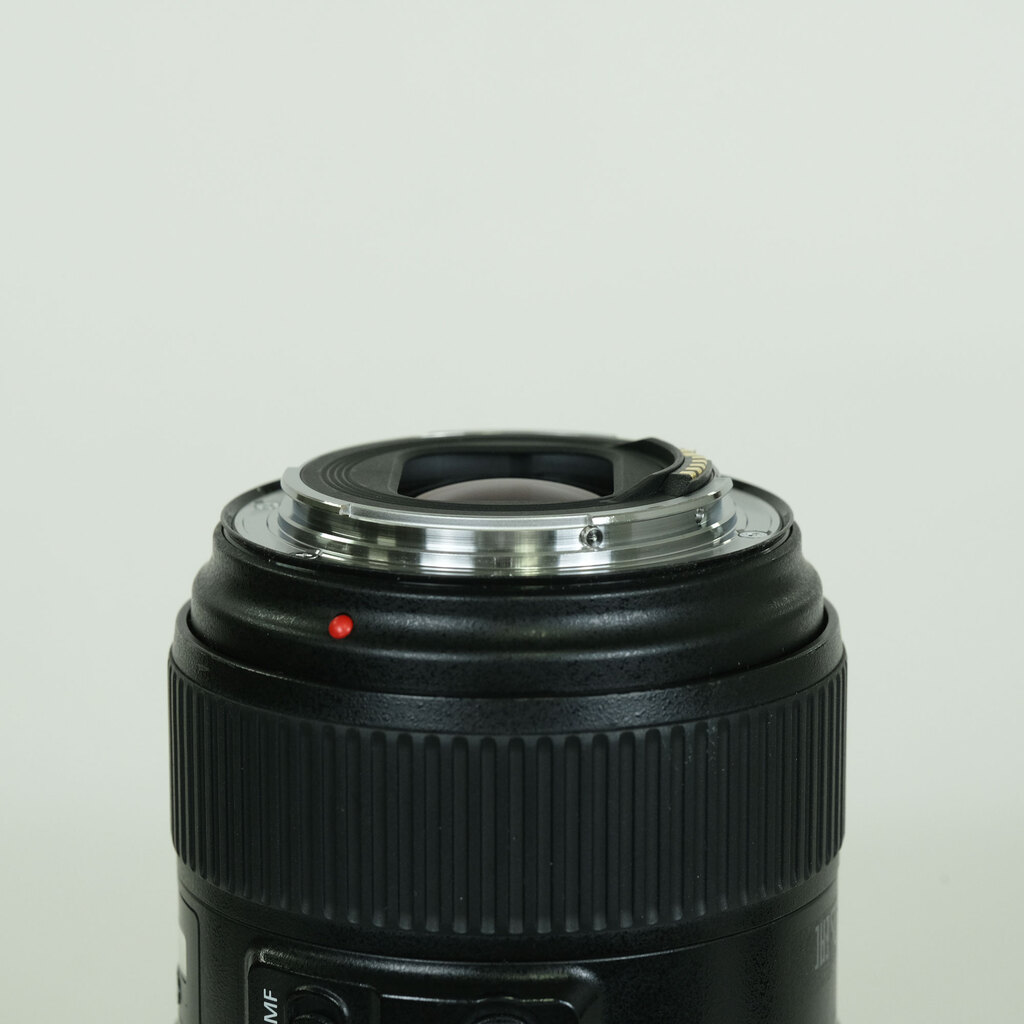 Canon EF24-105mm F4L IS II USM