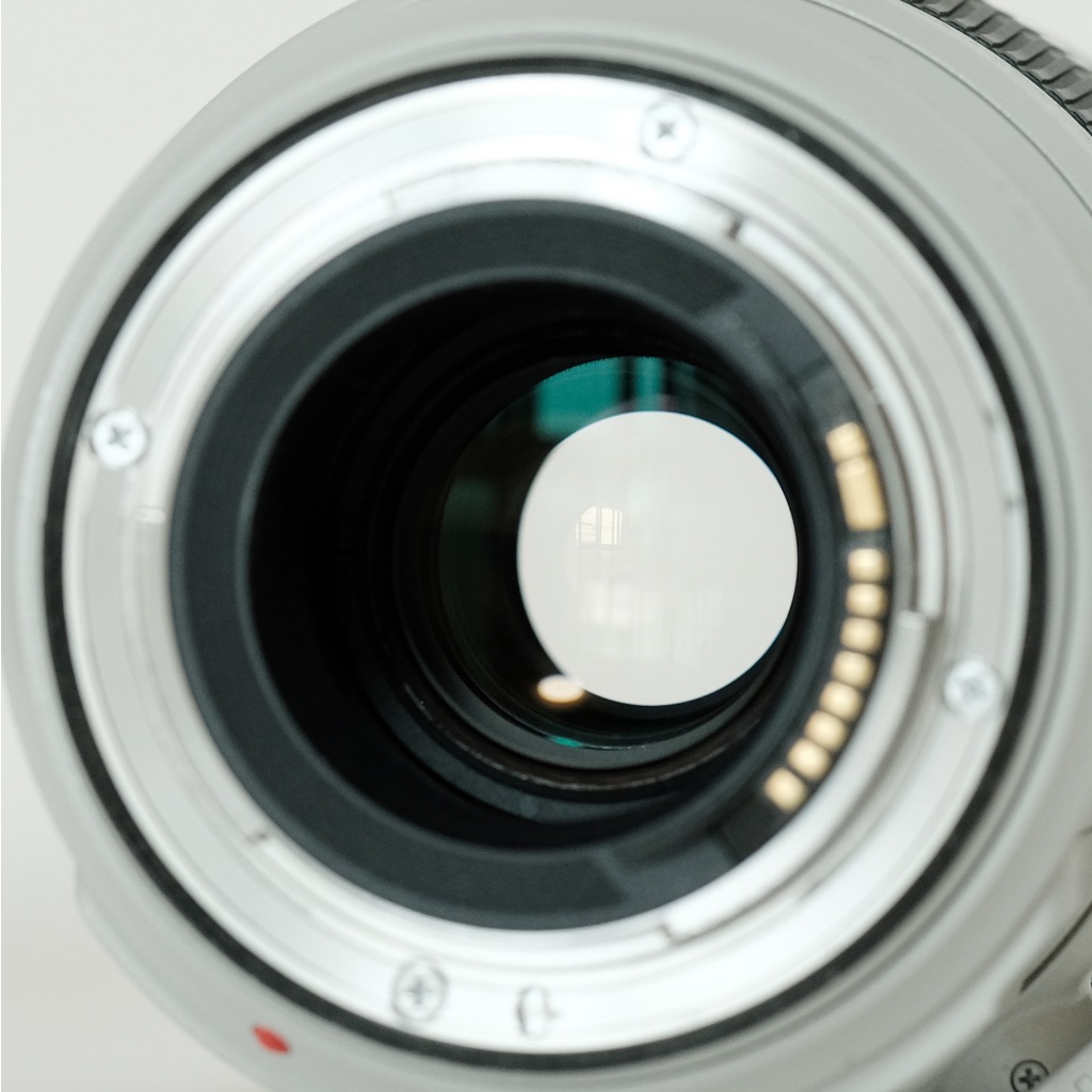 Canon EF100-400mm F4.5-5.6L IS II USM