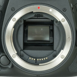 Canon EOS 7D Mark II