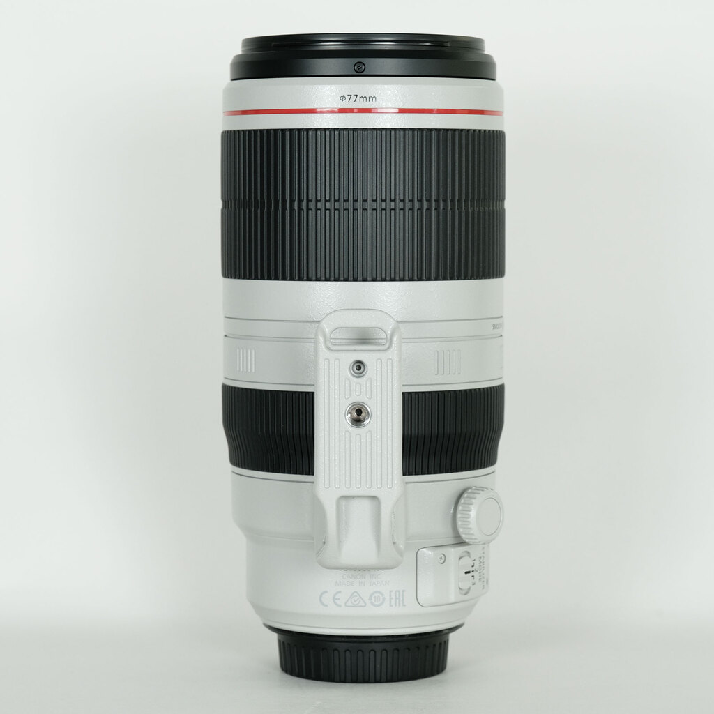 Canon EF100-400mm F4.5-5.6L IS II USM