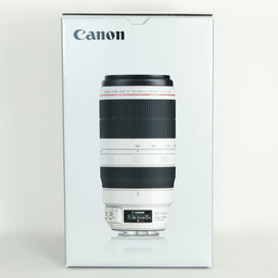 Canon EF100-400mm F4.5-5.6L IS II USM