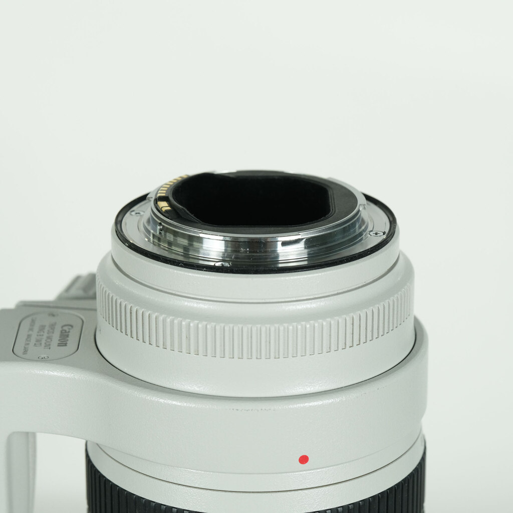 Canon EF70-200mm F2.8L IS III USM
