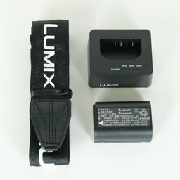 Panasonic LUMIX DC-S1M2ES ボディ