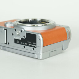 Panasonic LUMIX DC-S9