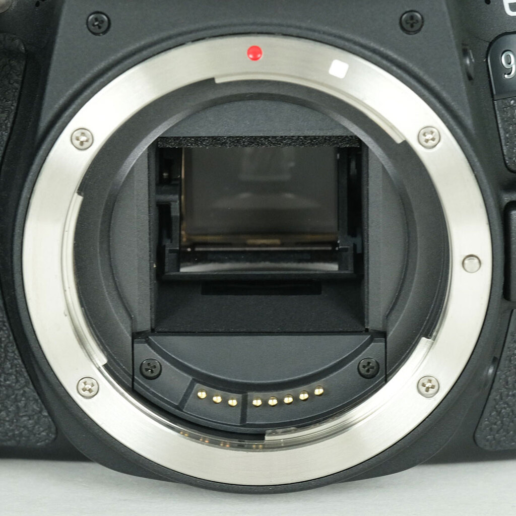 Canon EOS 9000Dの出品 | ONE SCENE（ワンシーン）