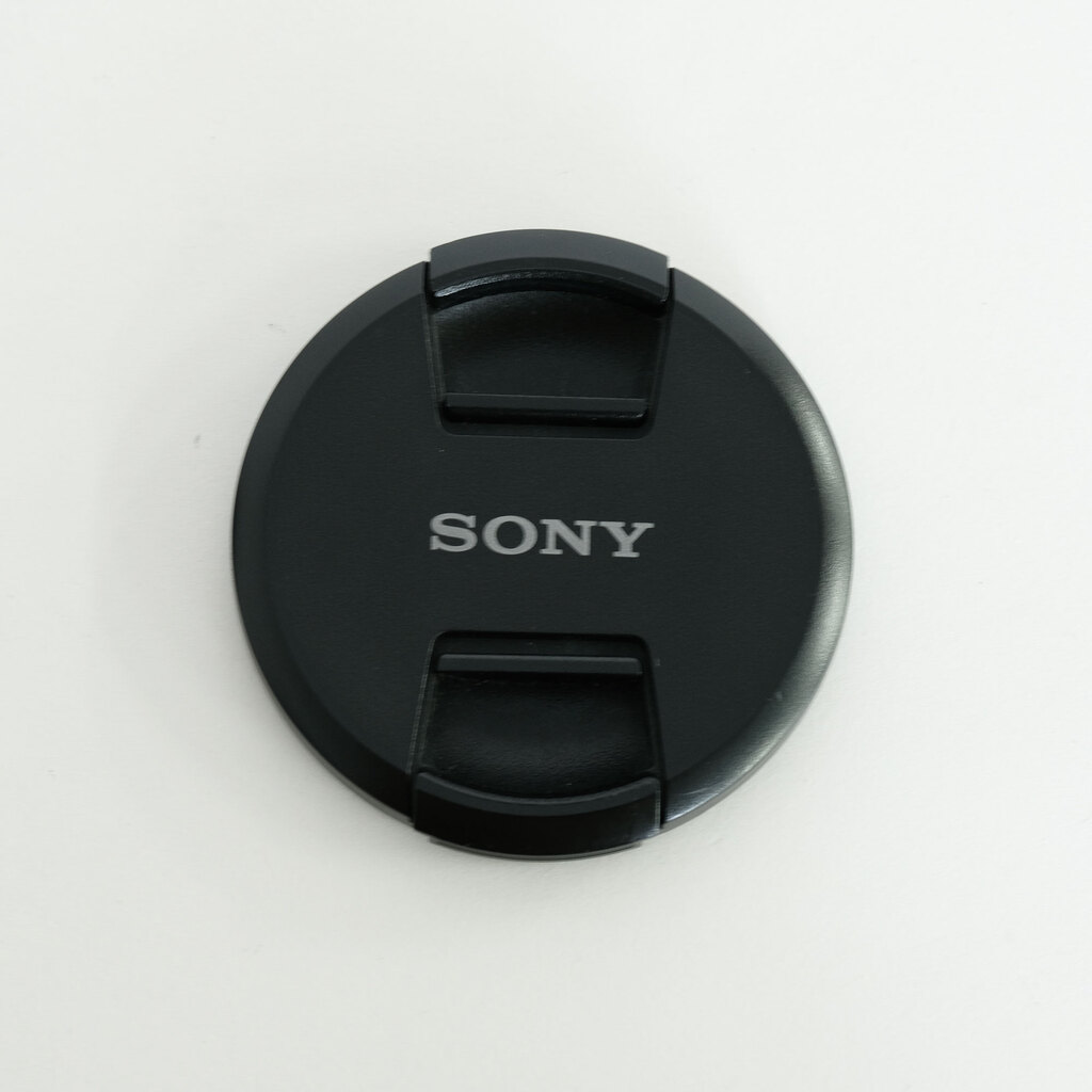 SONY FE 24-105mm F4 G OSS SEL24105G
