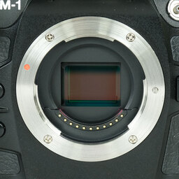 OM SYSTEM OM-1 OM SYSTEM OM-1