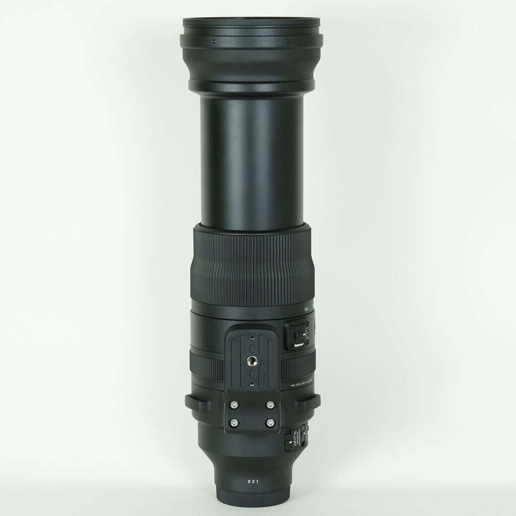 SIGMA 150-600mm F5-6.3 DG DN OS｜Sports [ソニーE用]