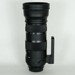 SIGMA 150-600mm F5-6.3 DG OS HSM | Sports [キヤノン用]