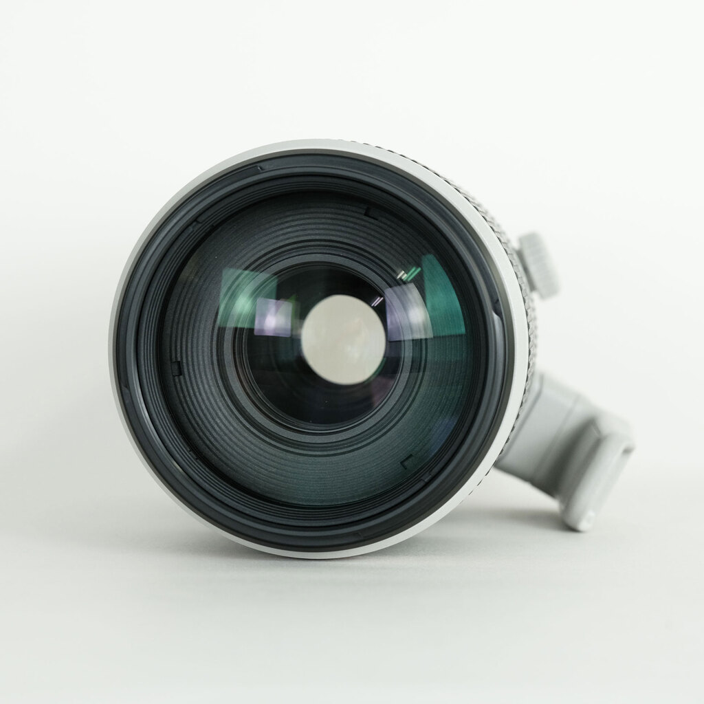 Canon EF100-400mm F4.5-5.6L IS II USM