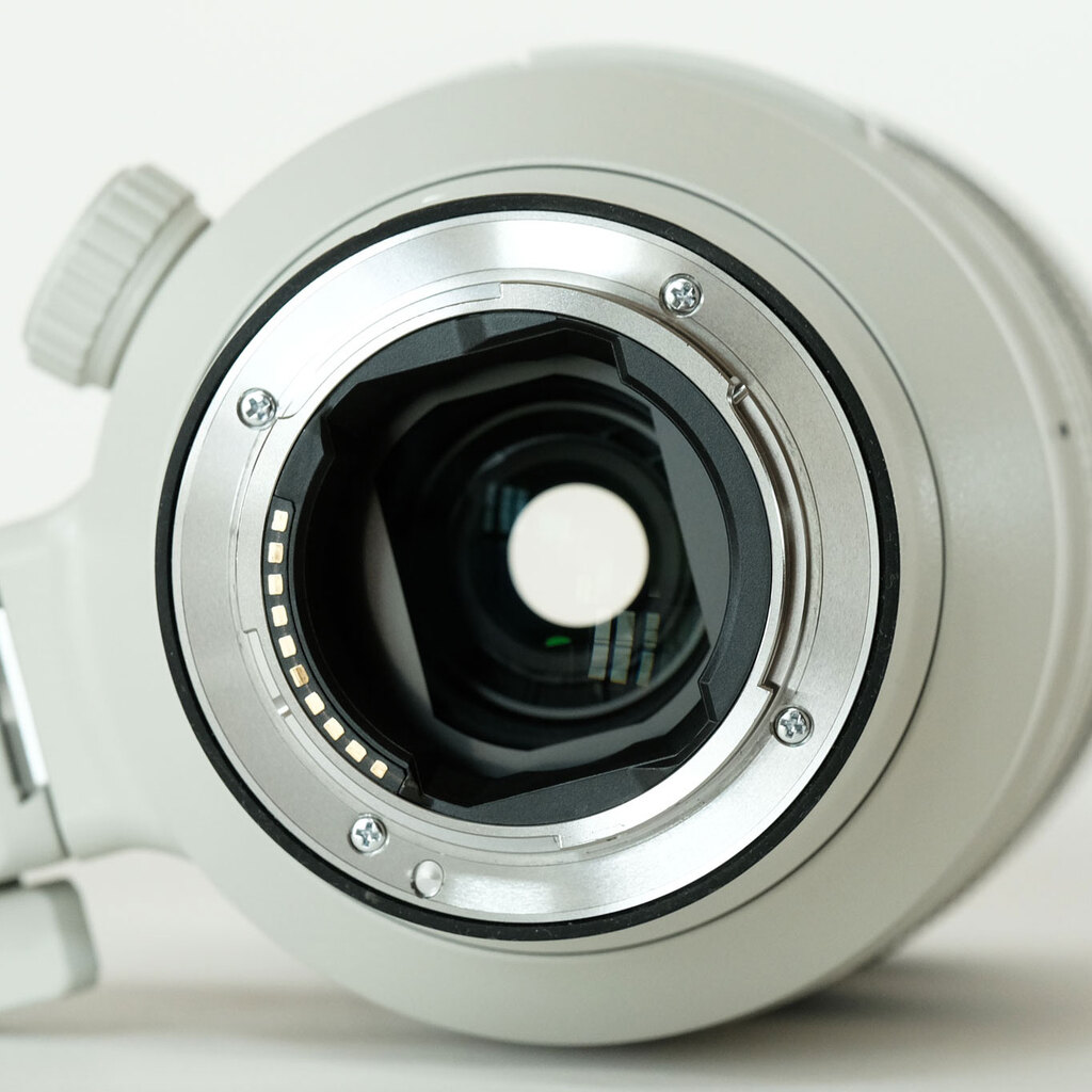 SONY FE 100-400mm F4.5-5.6 GM OSS SEL100400GM